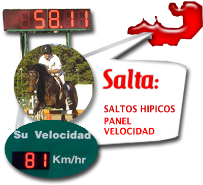 desarrollos-electronicos-com  Equipos de rally en Salta